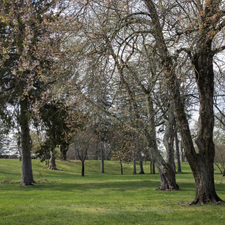 Morris County and Denville Secure 57 Acres of Open Space in Landmark Preservation Project Linking History, Community, and the Future of Recreation