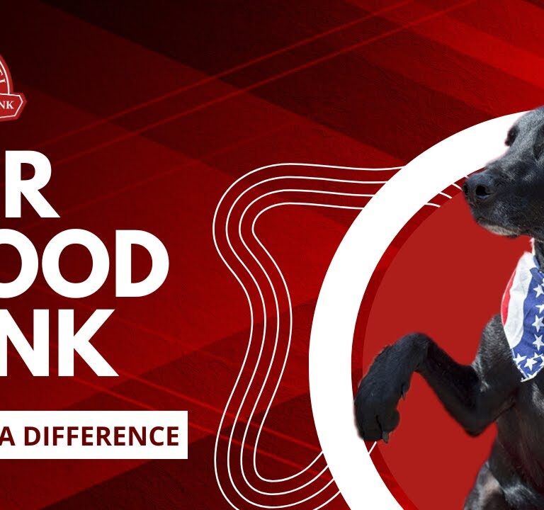 Mount Laurel Animal Hospital Sounds the Alarm Over National Canine Blood Shortage as Demand for Lifesaving Veterinary Transfusions Continues to Rise