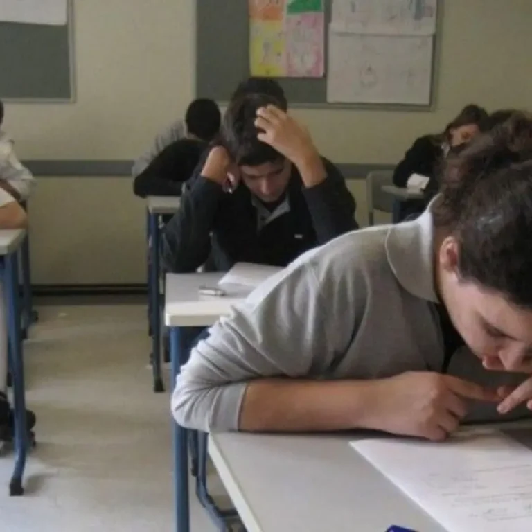 New Jersey’s Academic Elite: A Closer Look at the High Schools Producing the State’s Highest SAT Scores