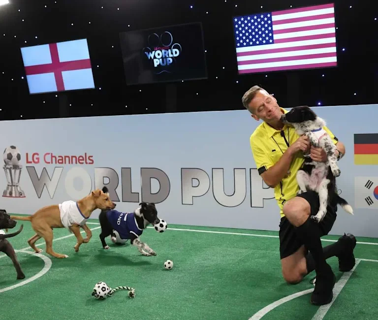 New Jersey’s World Cup Moment Arrives: From Puppy Soccer and Community Watch Parties to Transit Planning and Global Attention