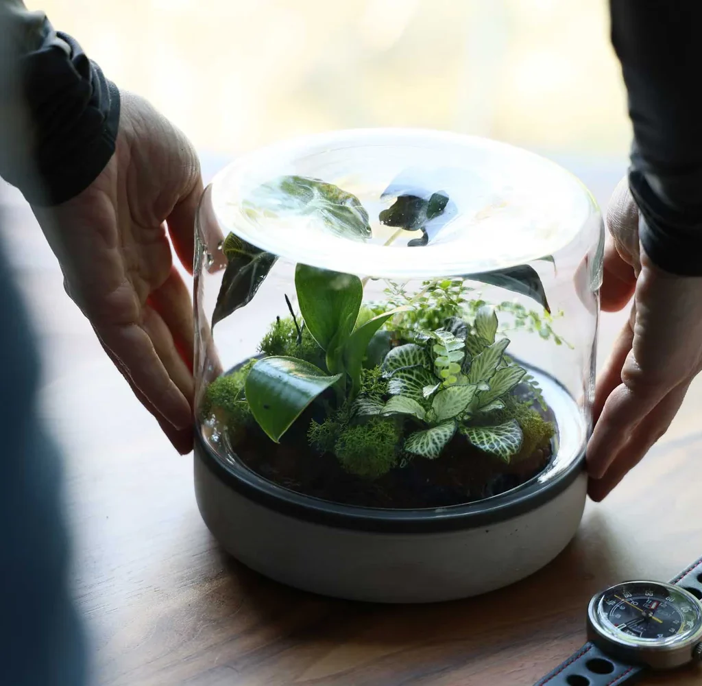 hands-on-Botanica-terrarium