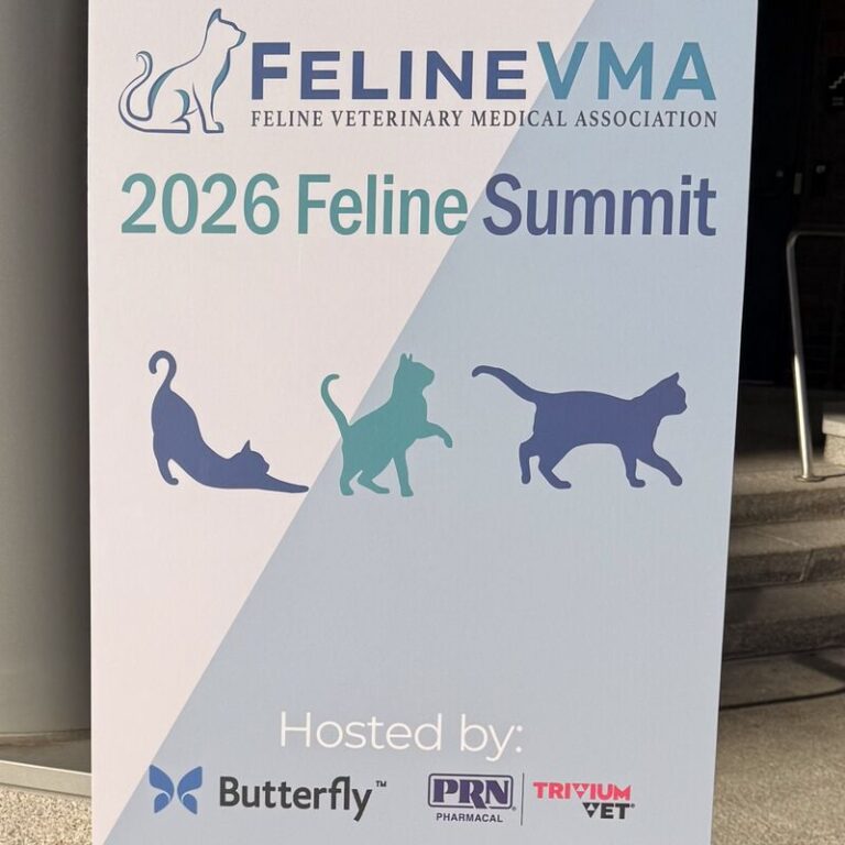 Inaugural Feline Summit Tackles the Systemic Gaps Keeping Cats Out of the Veterinary Office