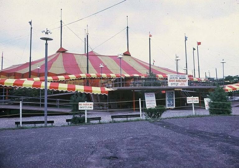 My First Show Was Inside a Spinning Circus Tent, and I Didn’t Even Know It Was Legendary Until Years Later