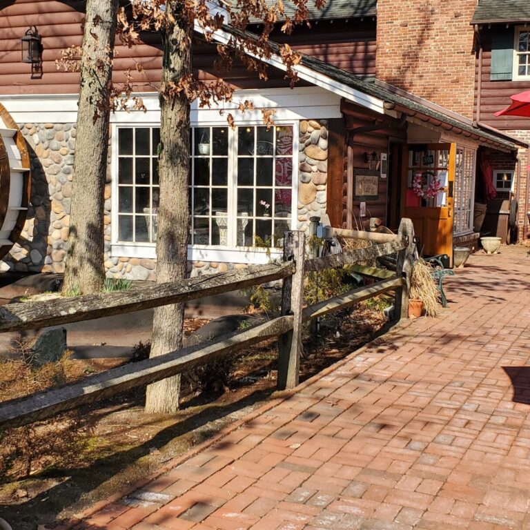 Four Green Cats Café