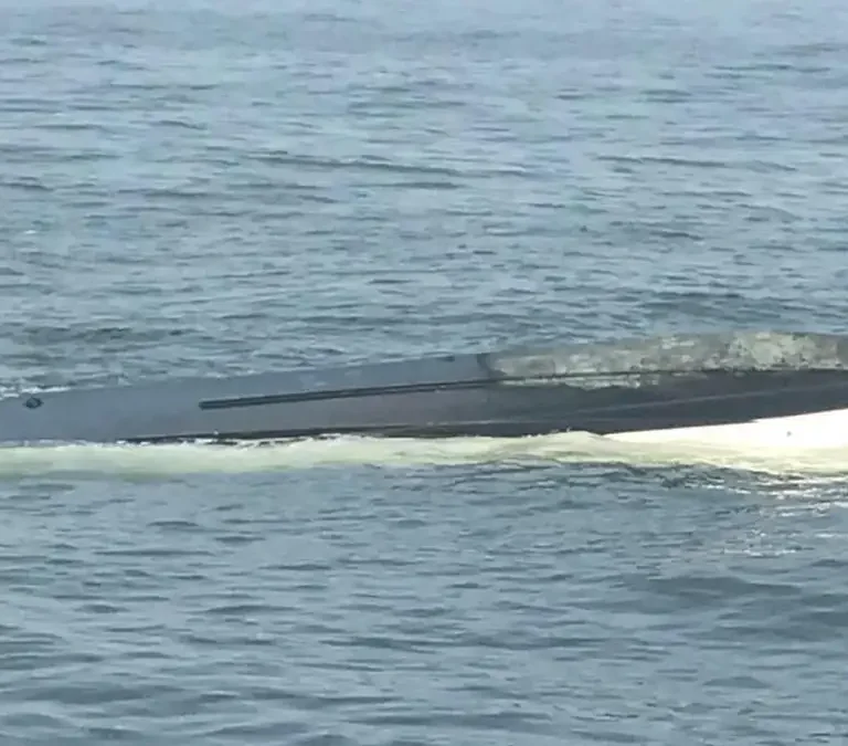 A Whale Sank a New Jersey Fire Rescue Boat on the Fourth of July. It Is Not the First Time These Waters Have Produced the Unthinkable.